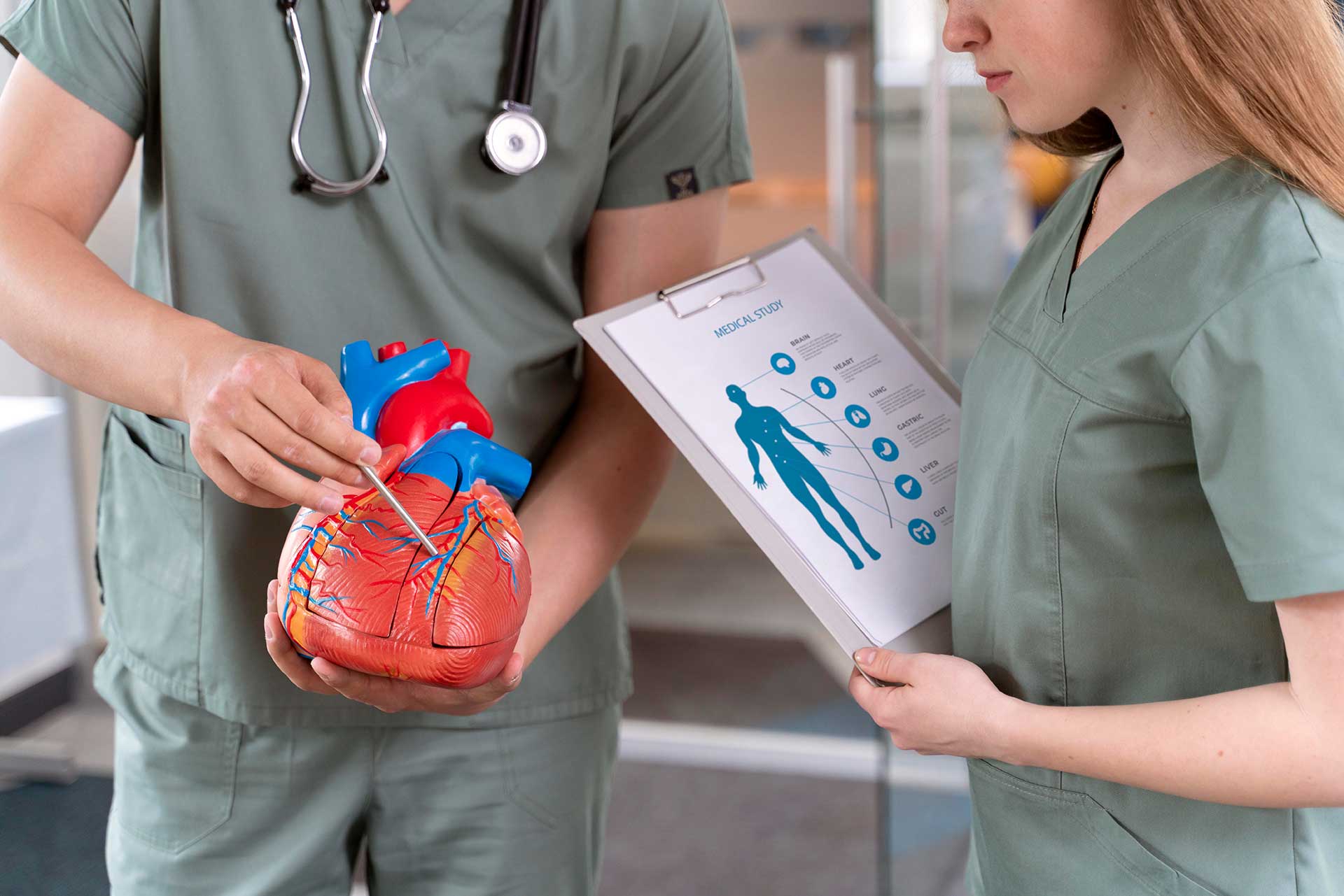 CardioPrima dev.cardioprima.md